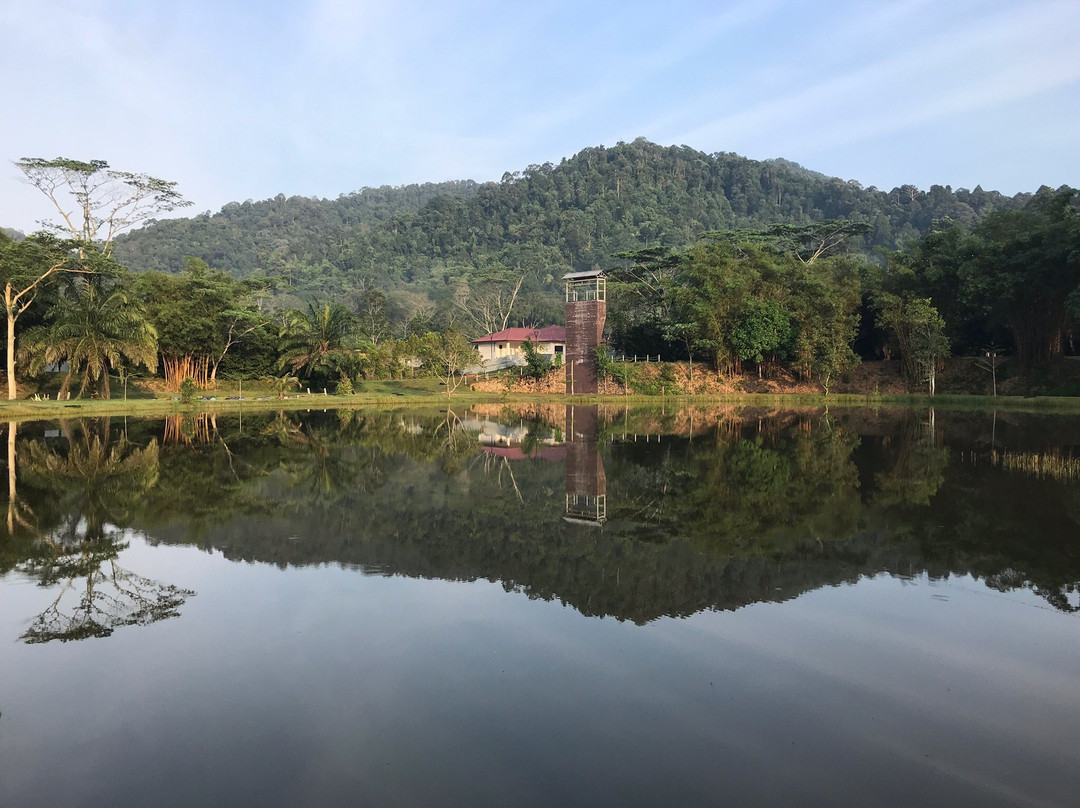 Kota Rainforest Resort主图