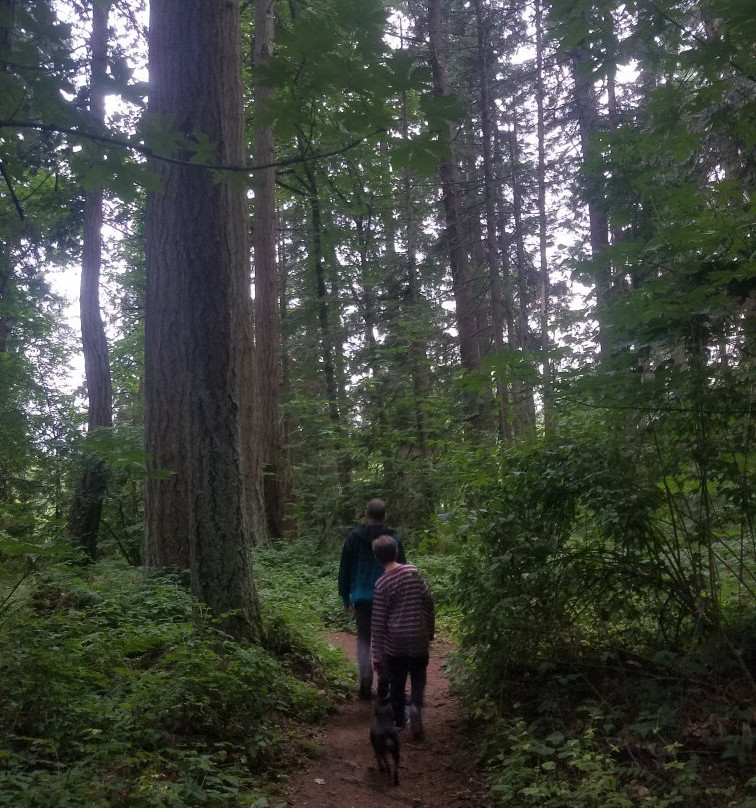 Rood Bridge Park-希尔斯伯勒必去景点