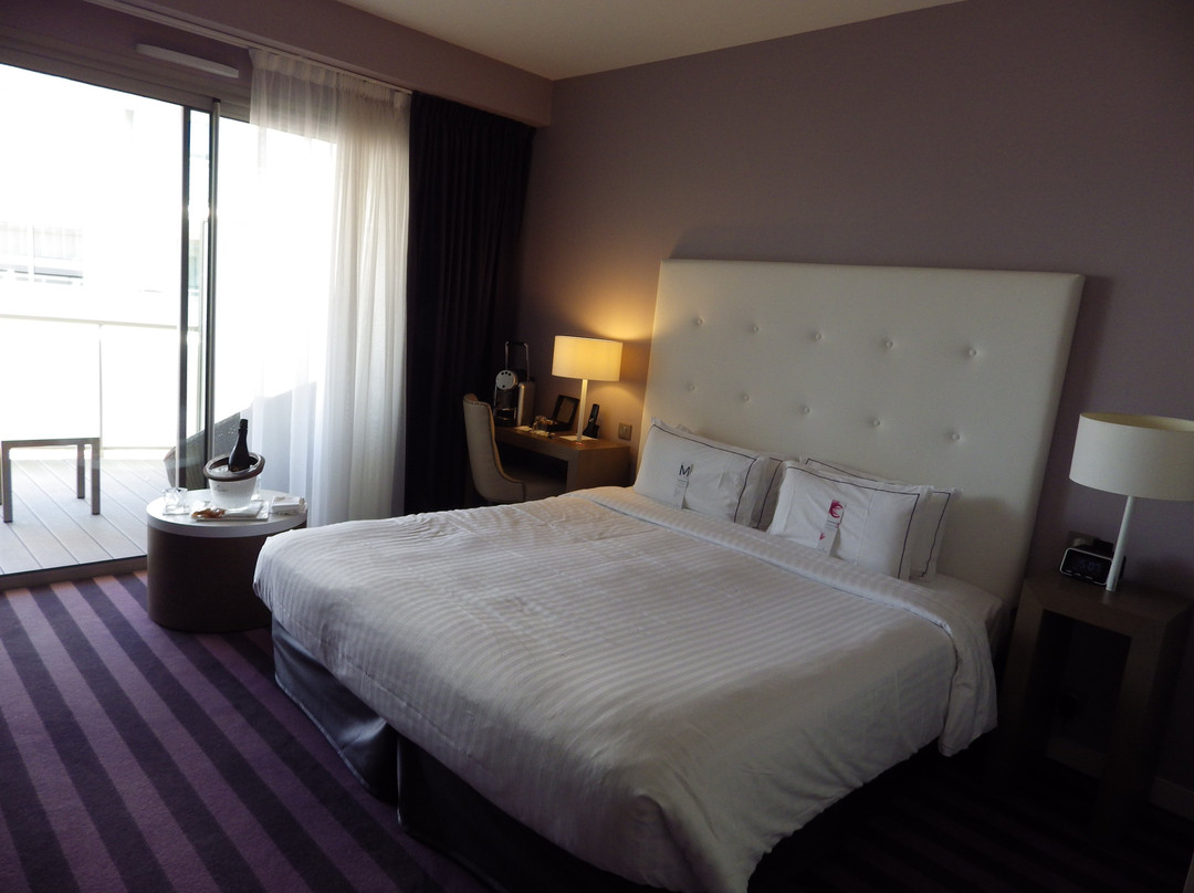 Hotel Chateau des Tourelles主图