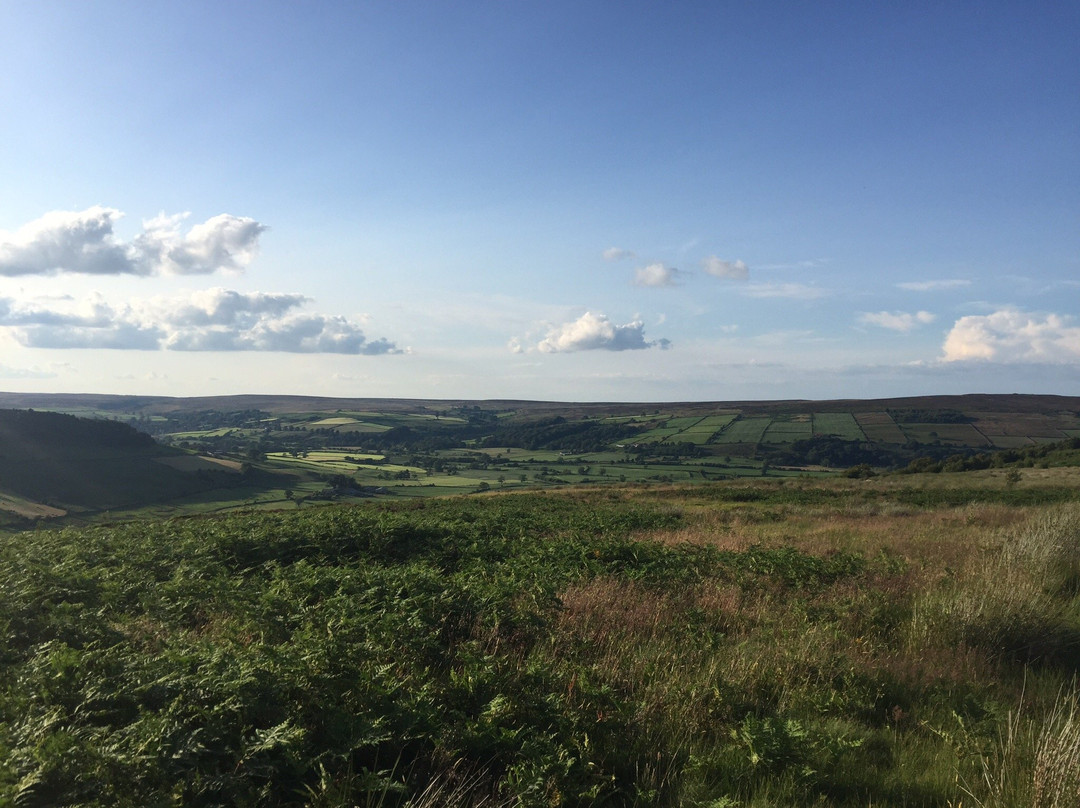 Yorkshire Cycle Hub景点图片