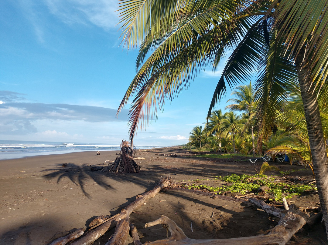 Cocomar Beachfront Hotel主图