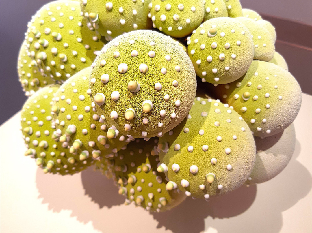 Mary E. Black Gallery-哈利法克斯必去景点