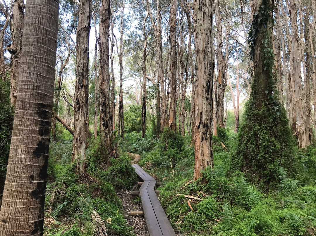 Scooter Roo Tours-Agnes Water必去景点