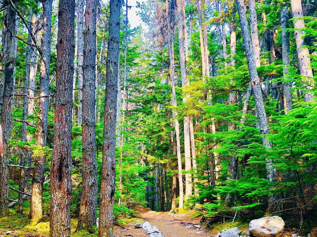 Lower Dewey Lake Hiking Trail-史凯威必去景点