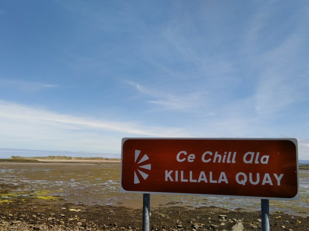 Killala Tower景点图片