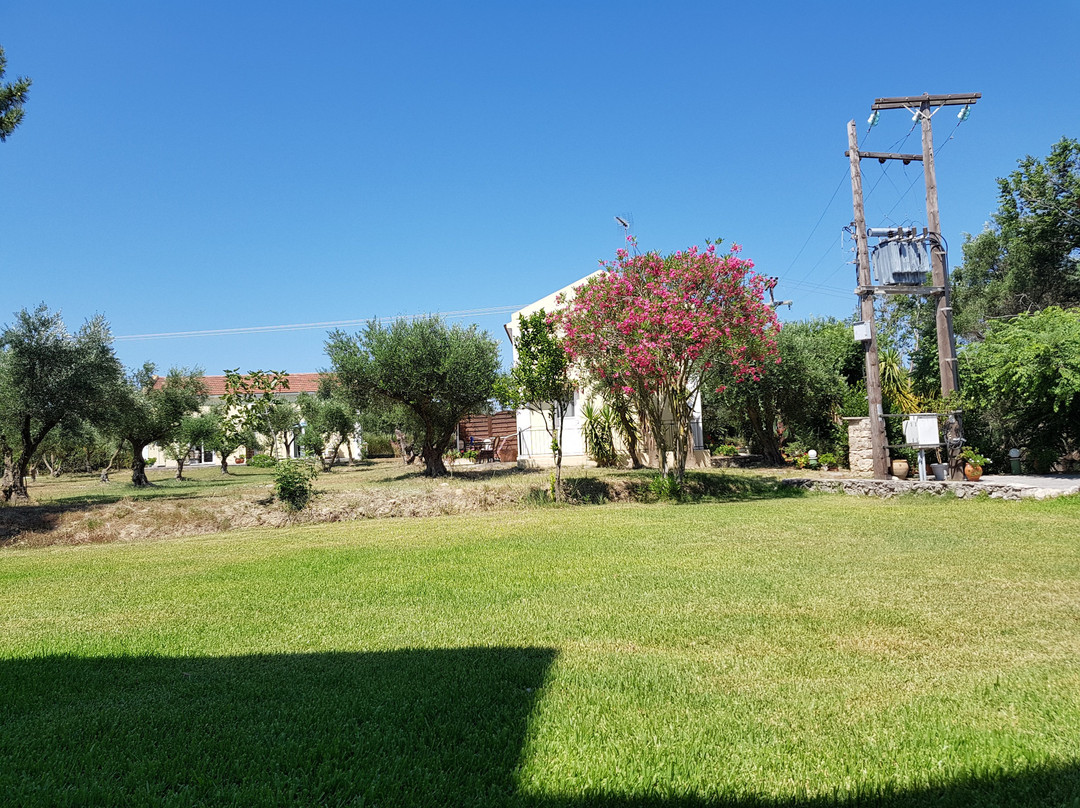 Hotel Palatino主图