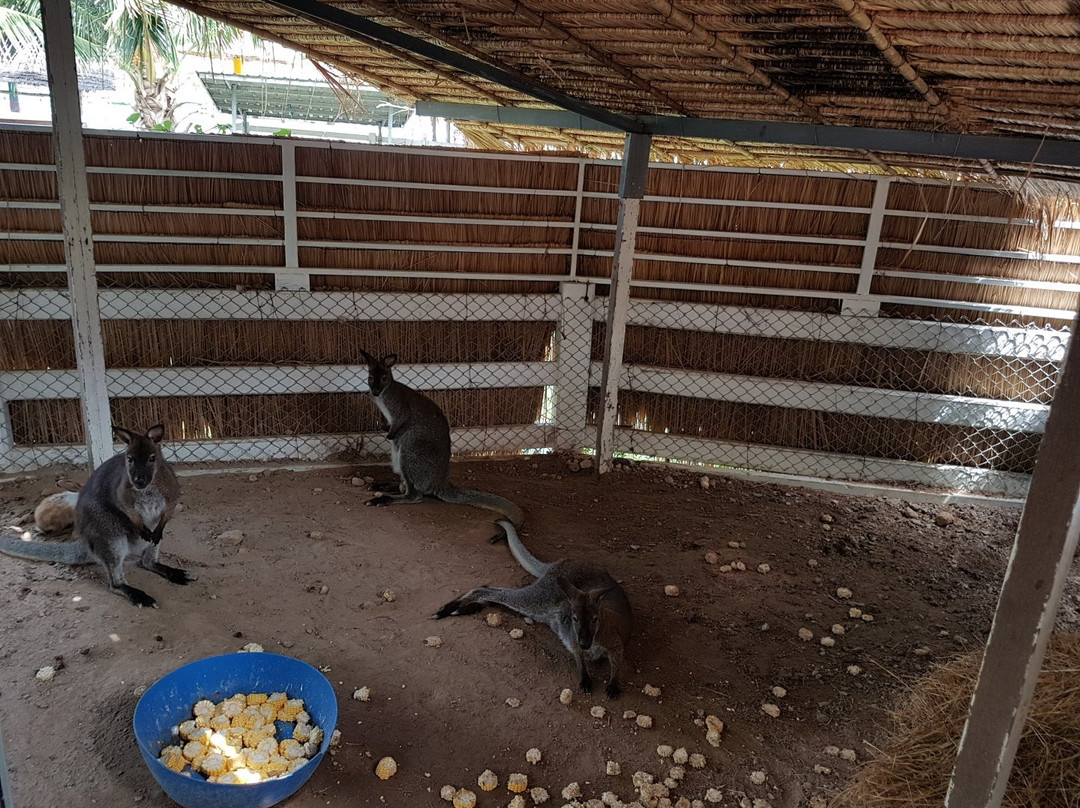 Malai Farm at Cha Am景点图片