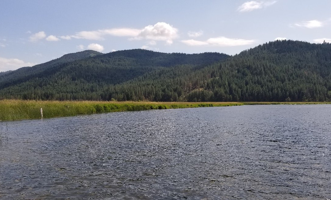 Liberty Lake Regional Park景点图片