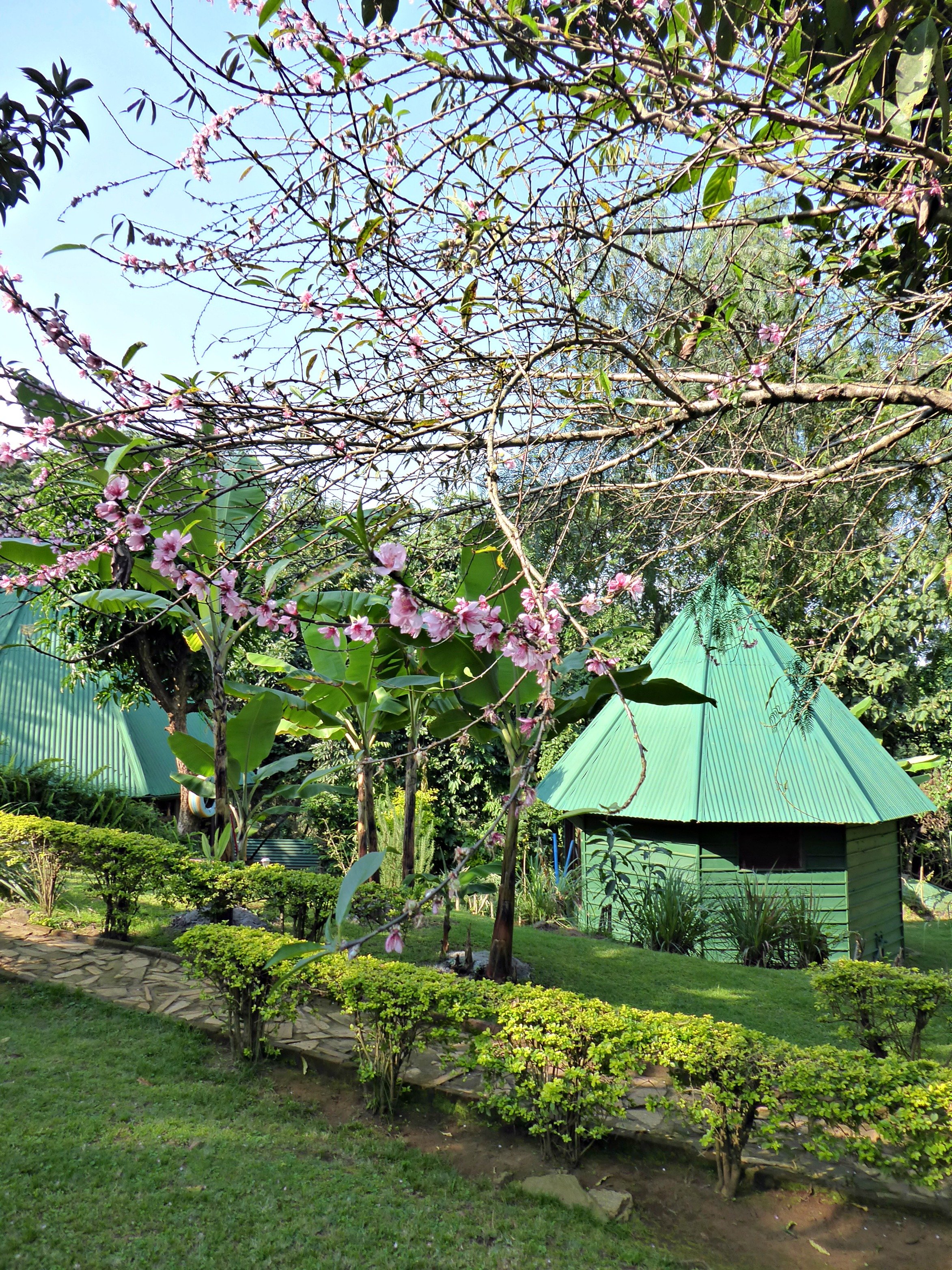 Songota Falls Lodge-浴室