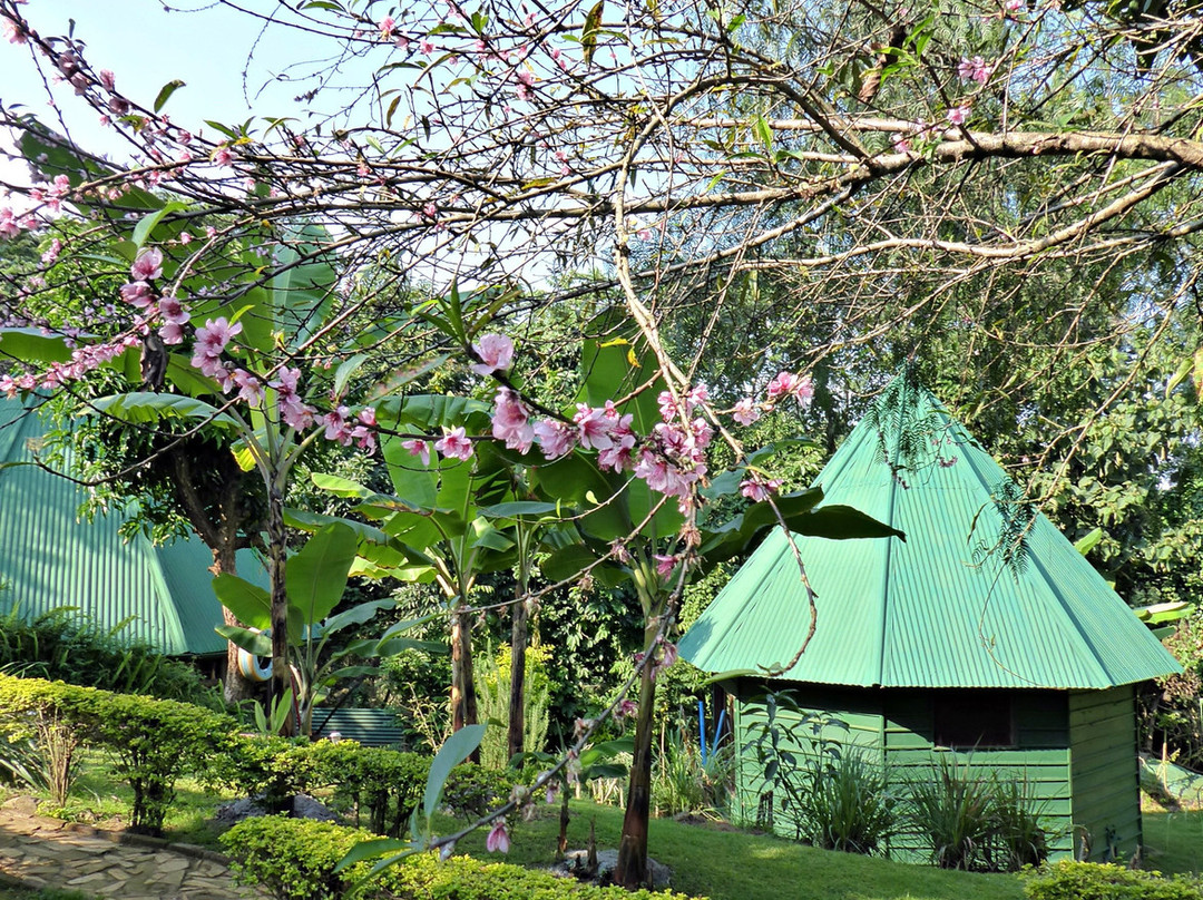 Songota Falls Lodge主图