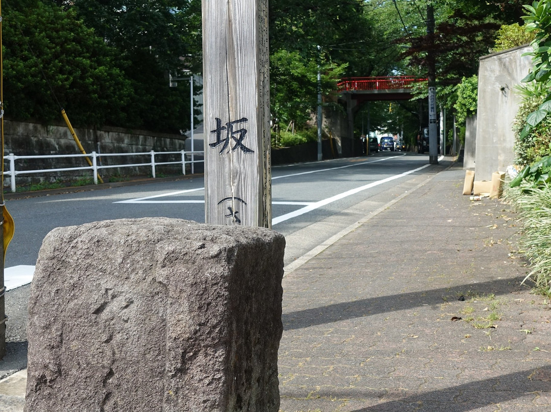 桜坂-大田区必去景点