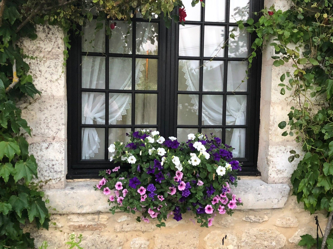 Le Moulin en Medoc主图