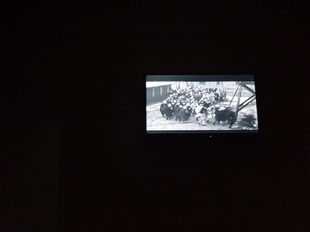 Hotel Bebber Multy主图