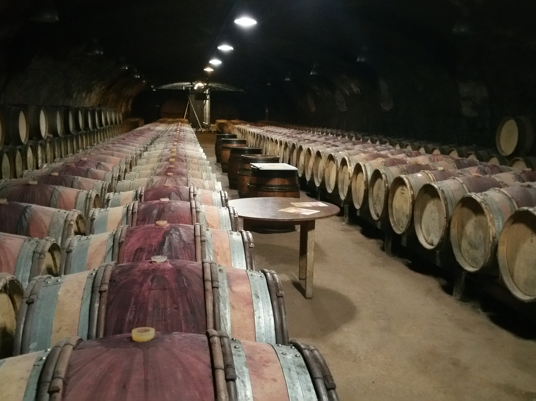 Cave Château Chénas-Chenas必去景点