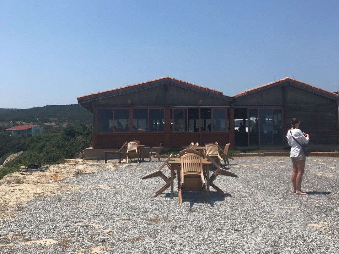 Sea Bird Motel主图