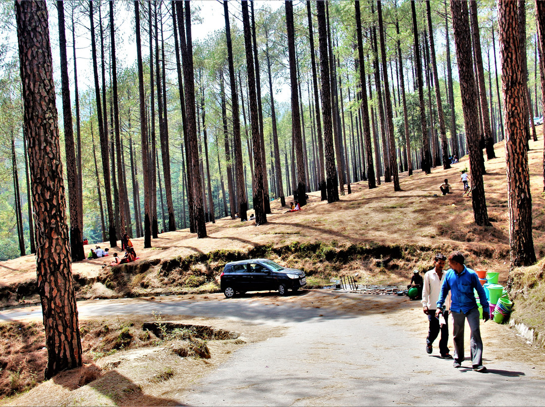 Swargashram Binsar Mahadev Mandir景点图片