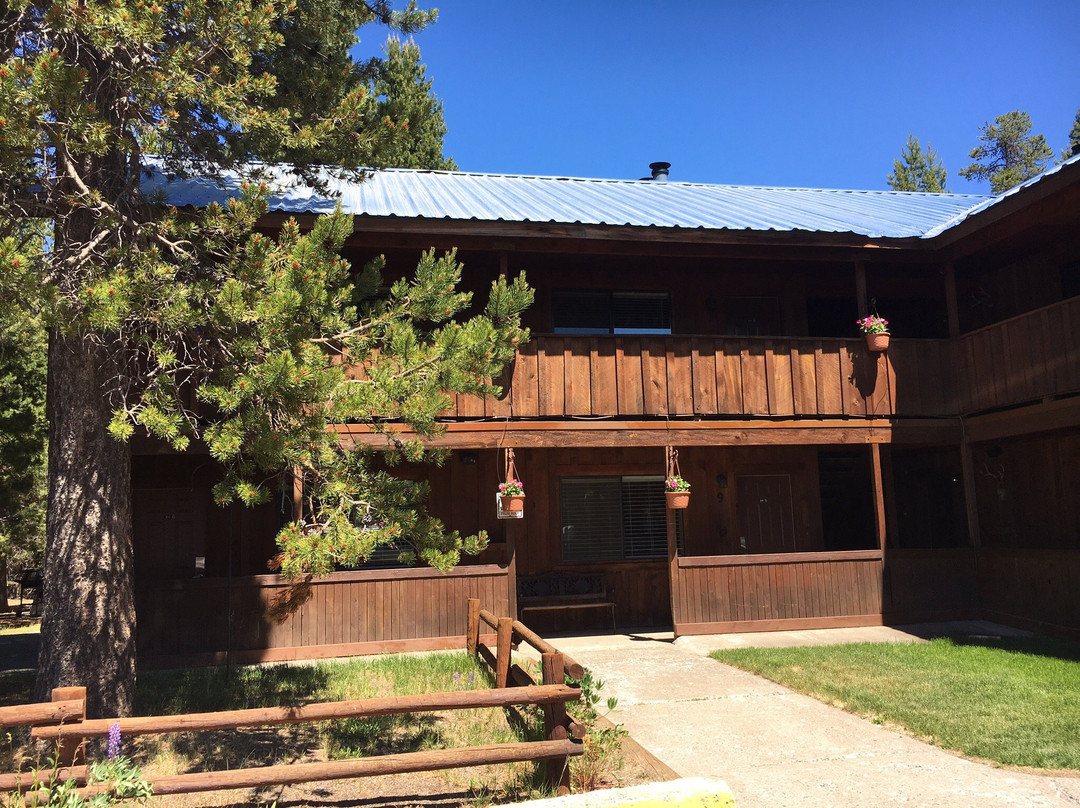 Willamette Pass Inn主图