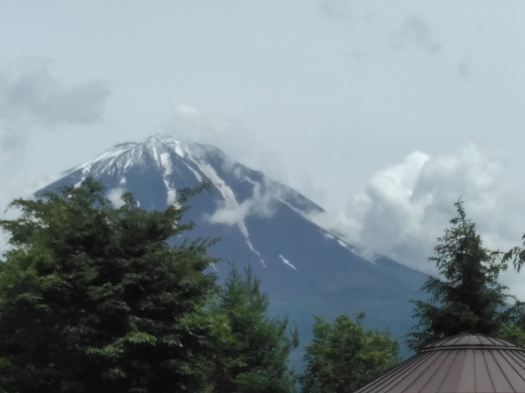 Narusawa Mt. Fuji Museum景点图片
