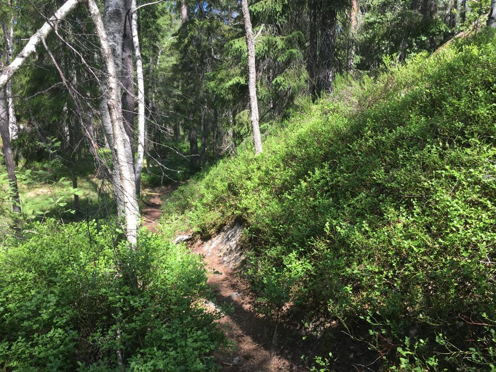 Paradisets Naturreservat-Huddinge必去景点