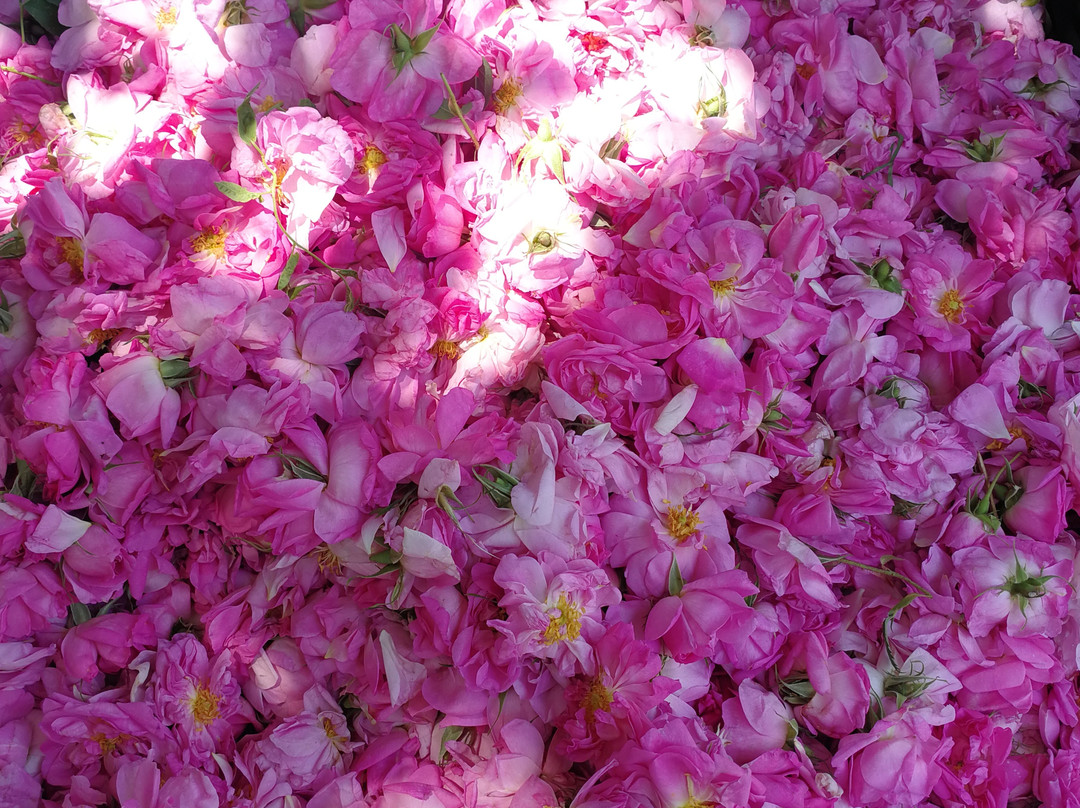 Niasar Waterfall-Neyasar必去景点