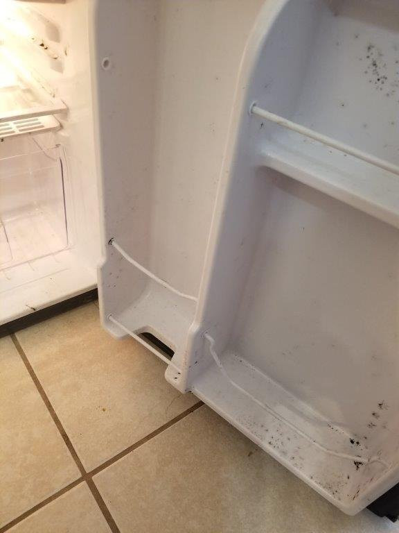 Lily Lake Resort-Burlington必去景点