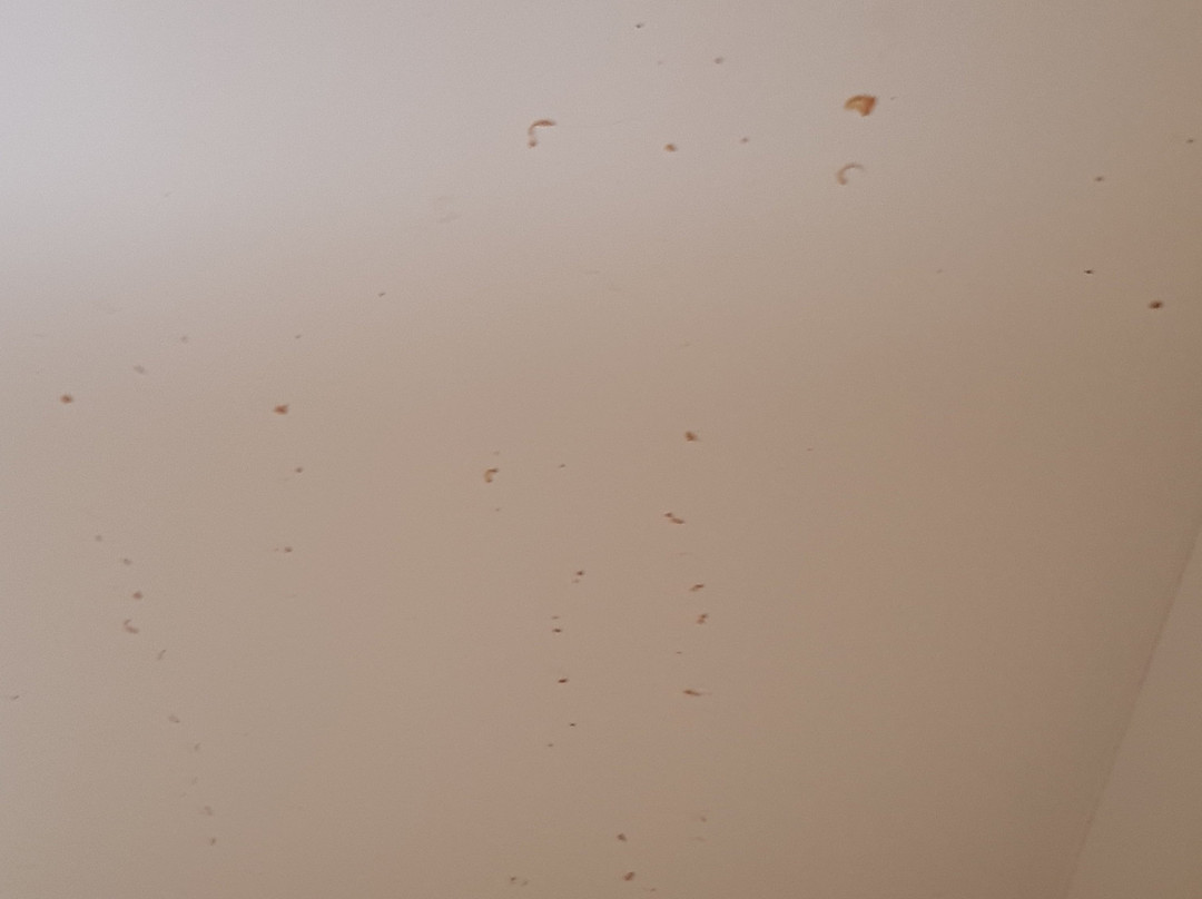 Anna Bella Motel主图