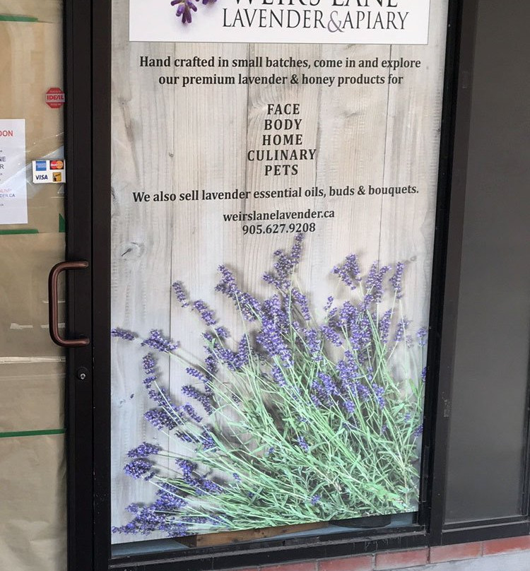 Weir's Lane Lavender and Apiary景点图片
