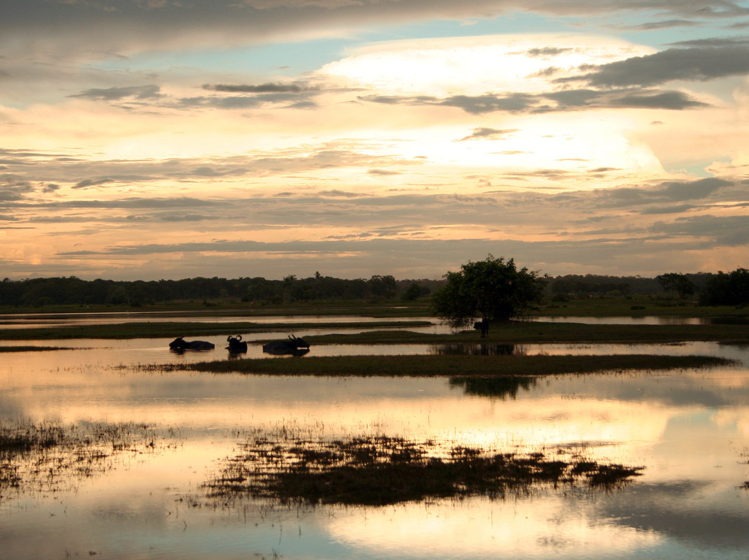 Bom Jesus Farm-Soure必去景点