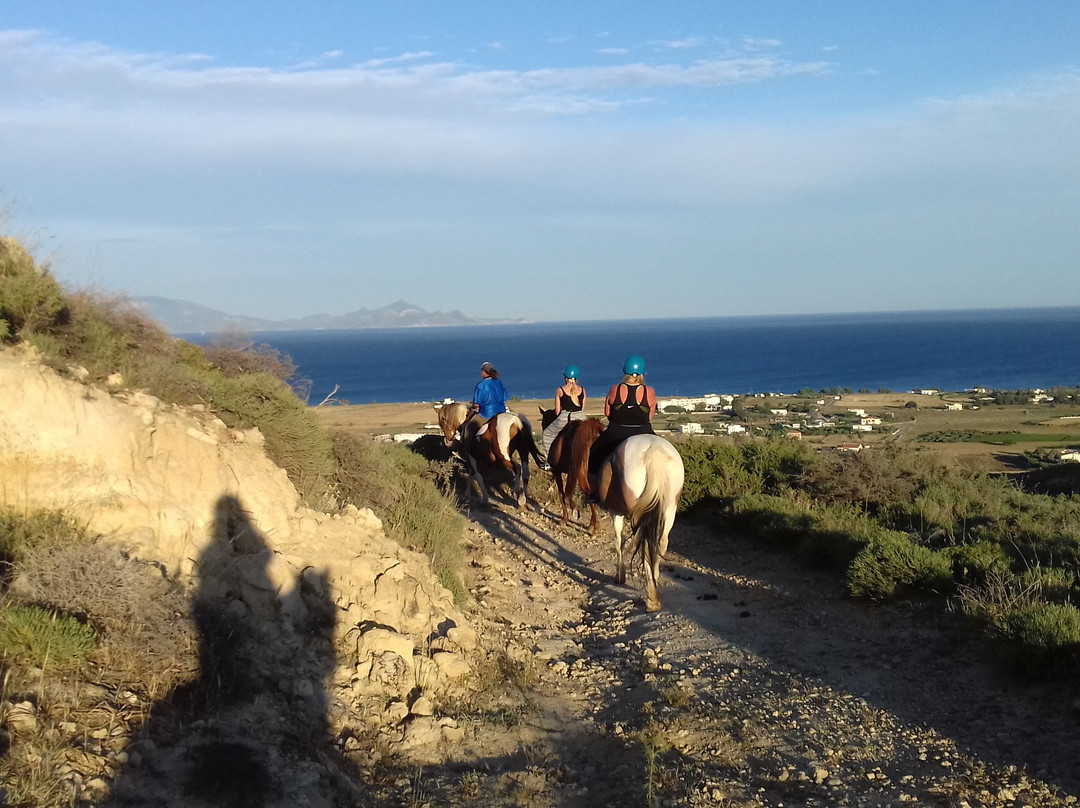 Kardamena Horse Riding Center景点图片