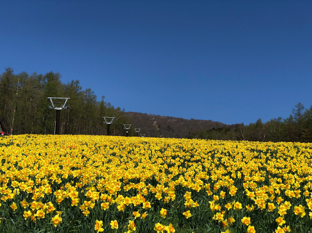 Mt Jeans Nasu-那须町必去景点