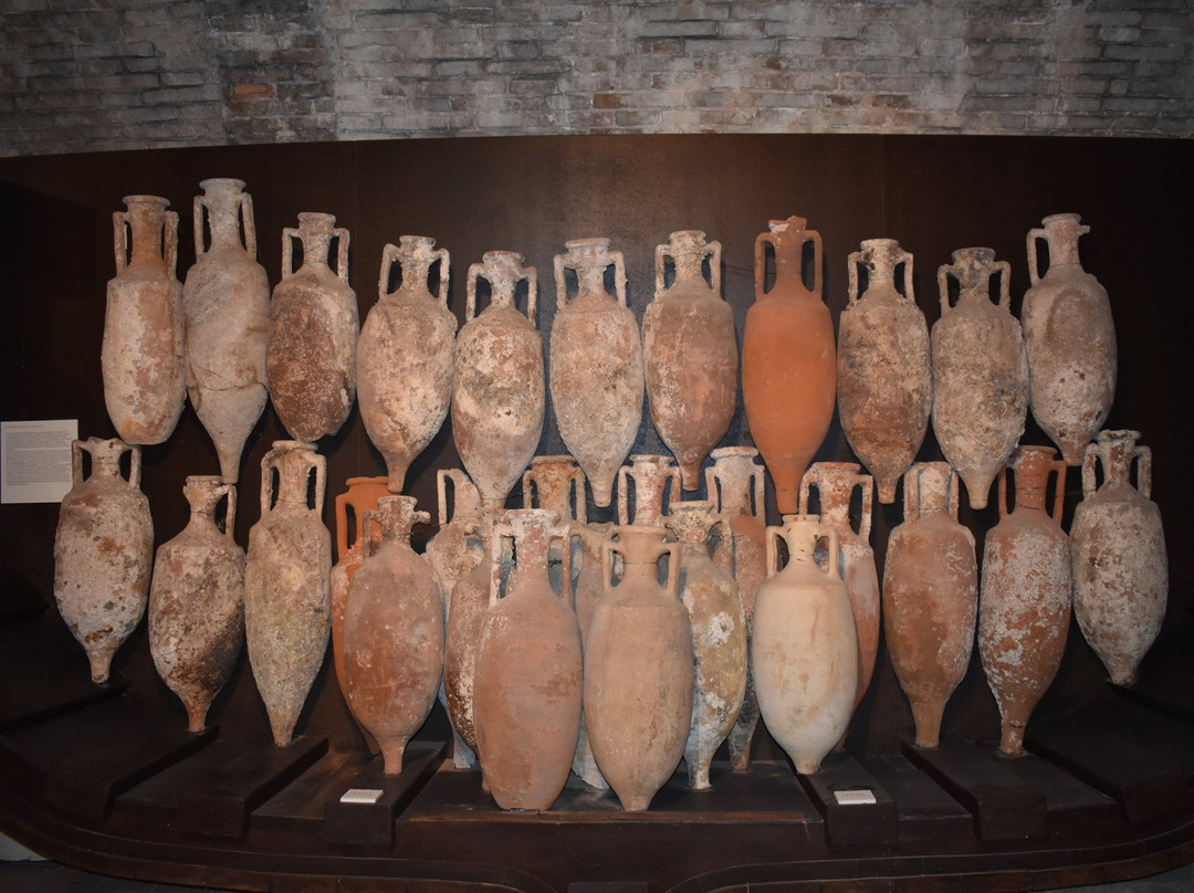 Musee d'Archeologie-安提贝必去景点