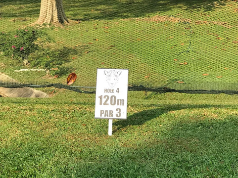 Executive Golf Course-新加坡必去景点