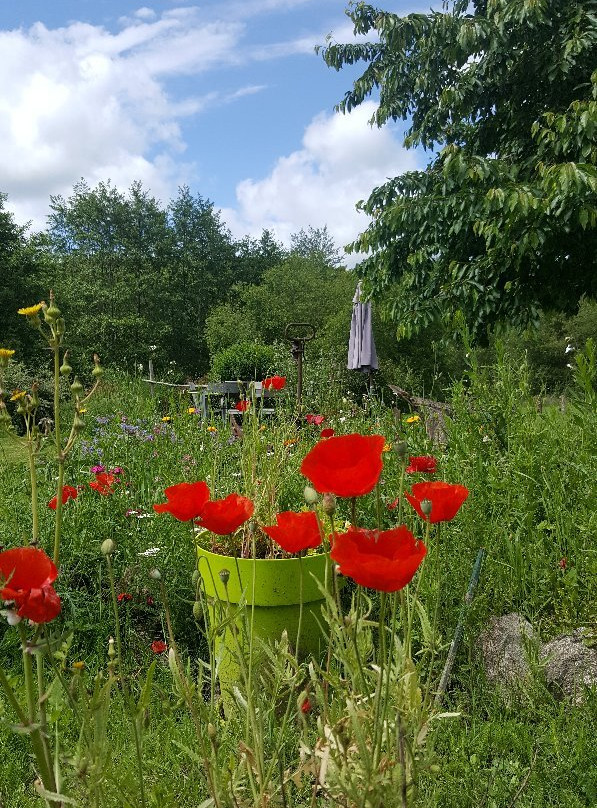 Domaine de la Jarrige主图