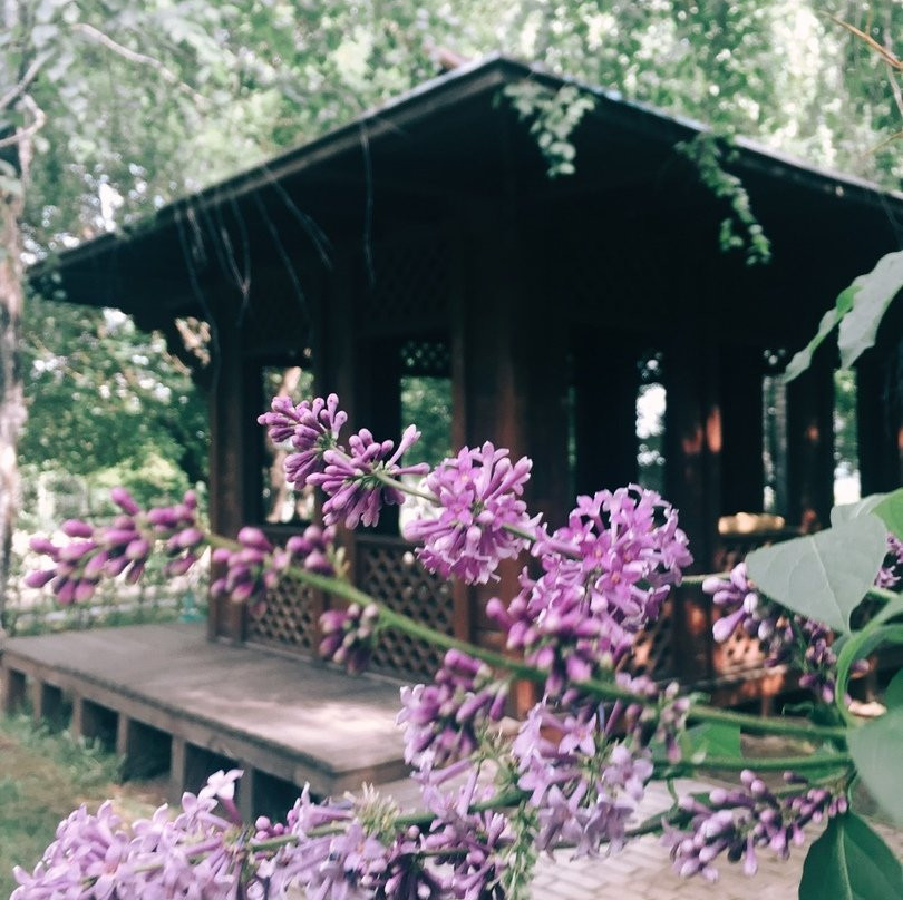 Park Hotel Berezka主图