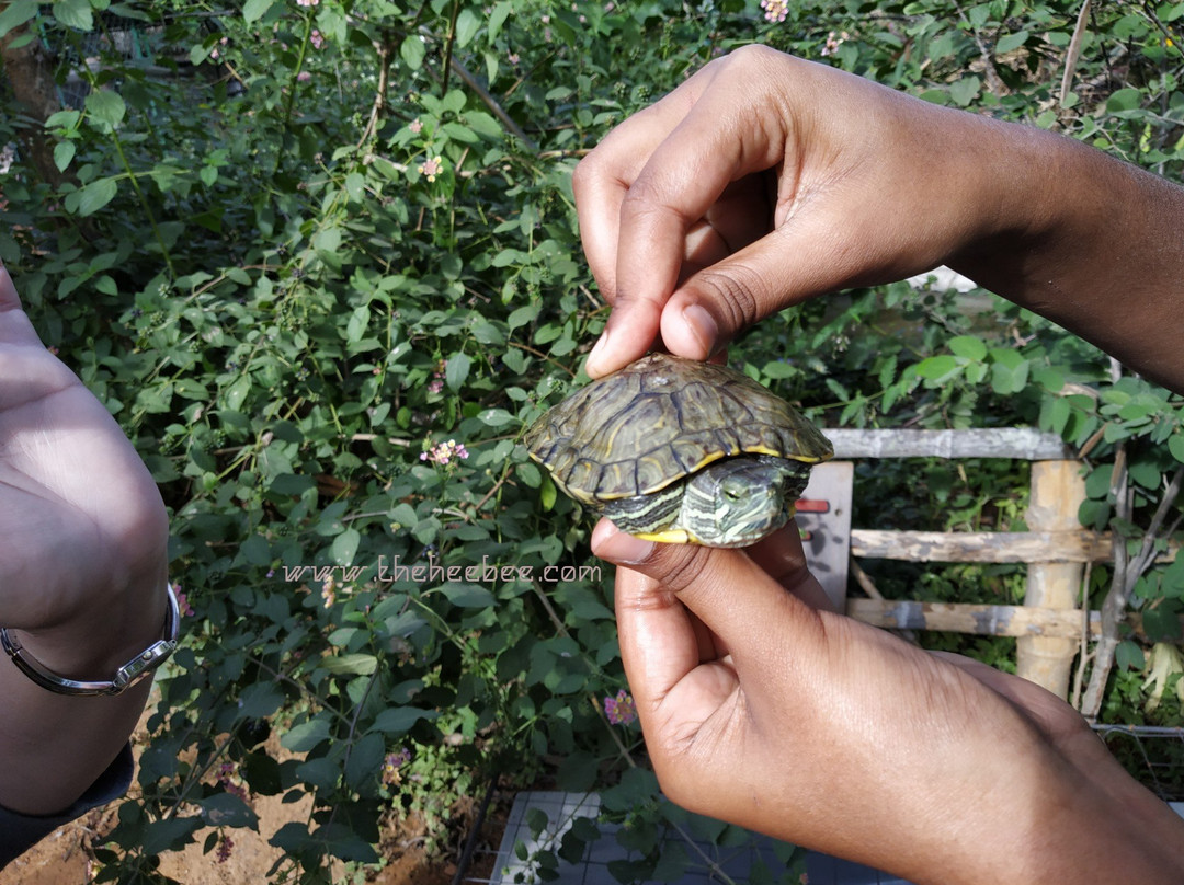 Prani, The Pet Sanctuary-班加罗尔必去景点