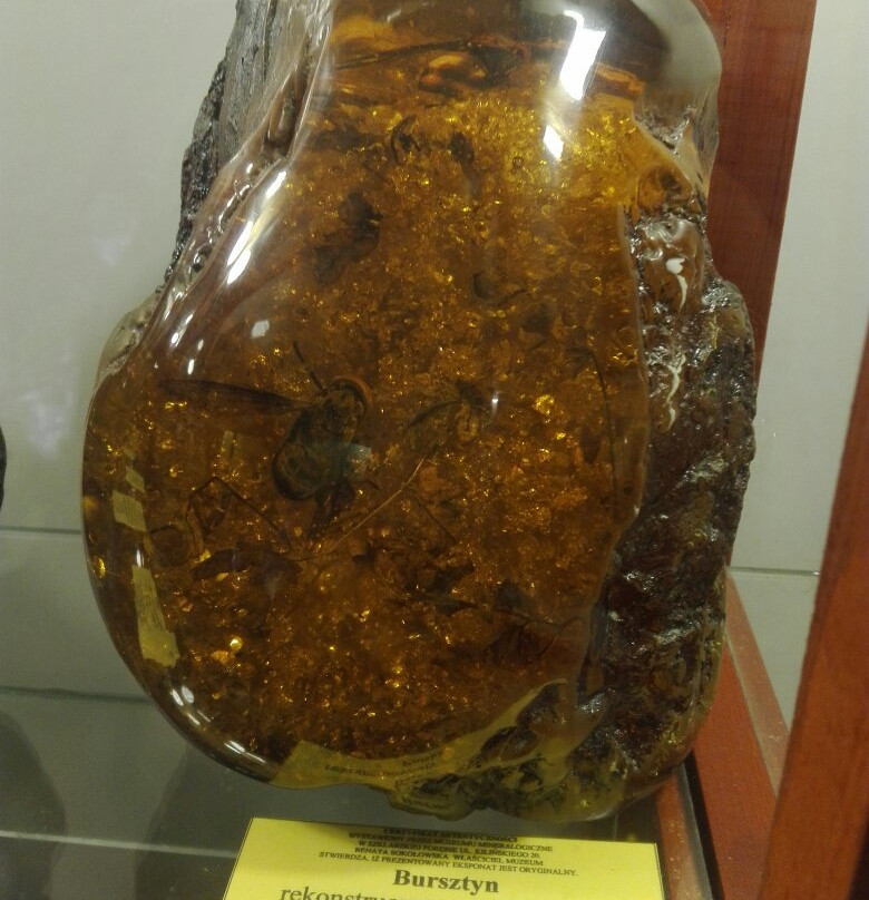 Mineralogical Museum景点图片
