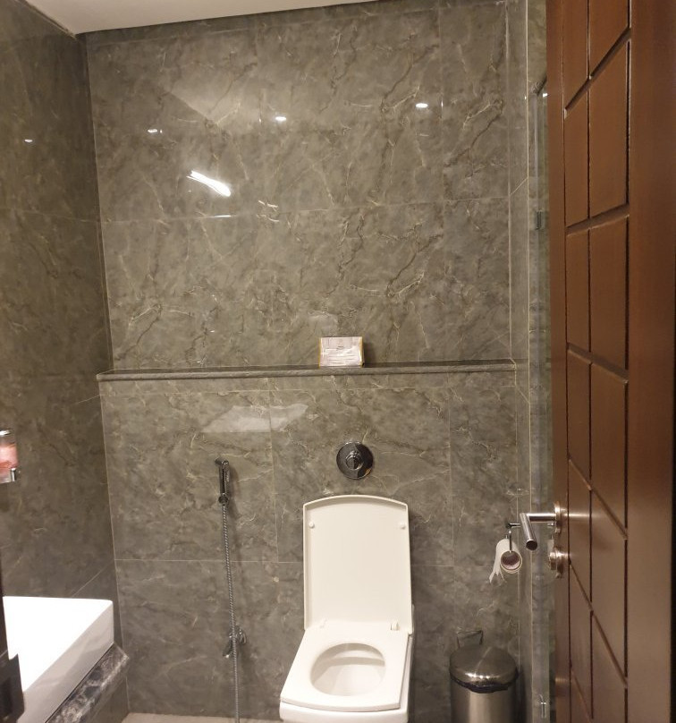 Hotel Prince Viraj主图