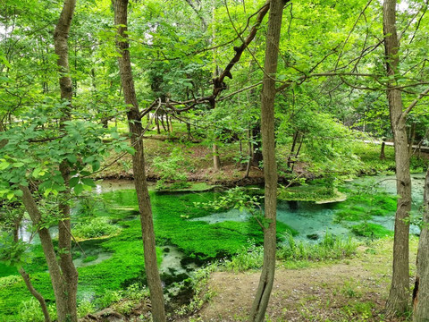 Magic Izvor-瓦尔纳必去景点