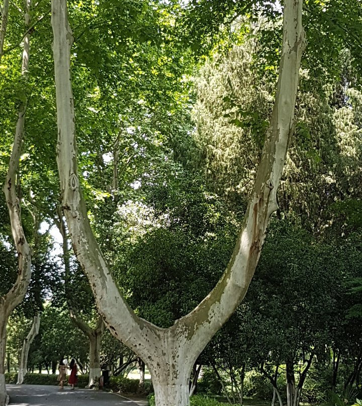 雨山湖-马鞍山市必去景点