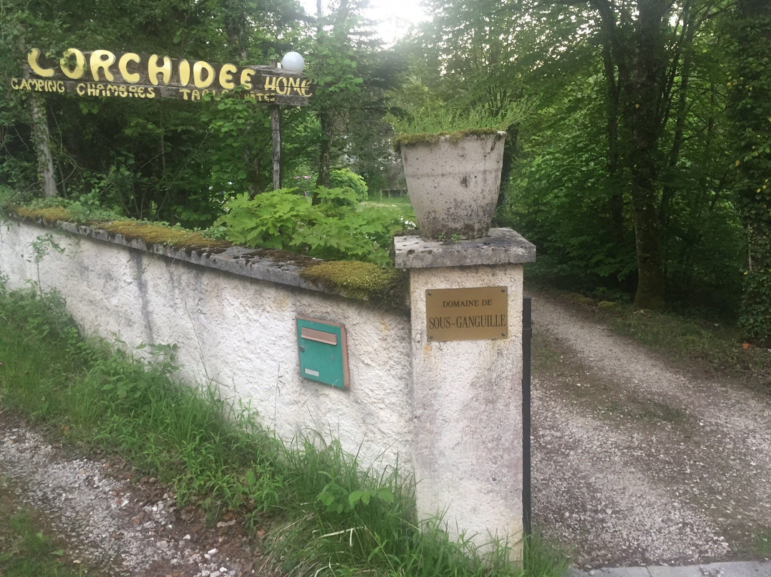 L'Orchidee Home主图