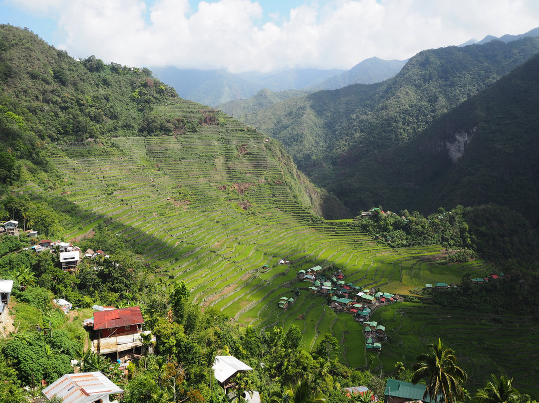 菲律宾水稻梯田景点图片