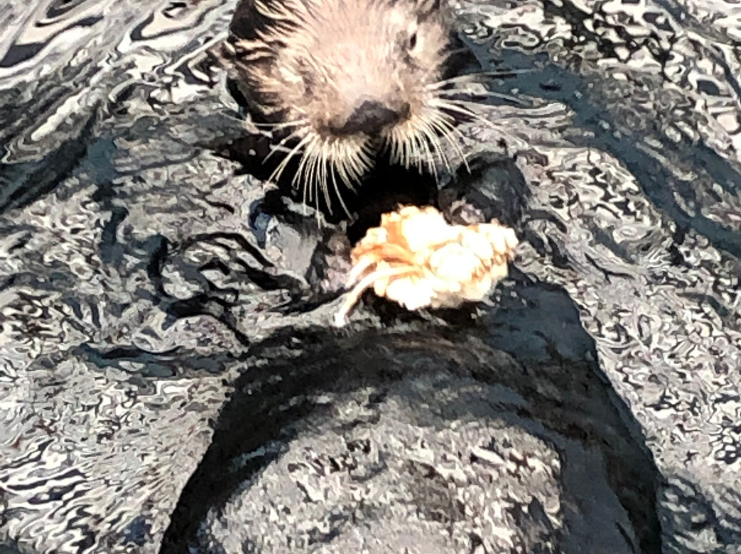 Somewhere Estoril Guesthouse主图