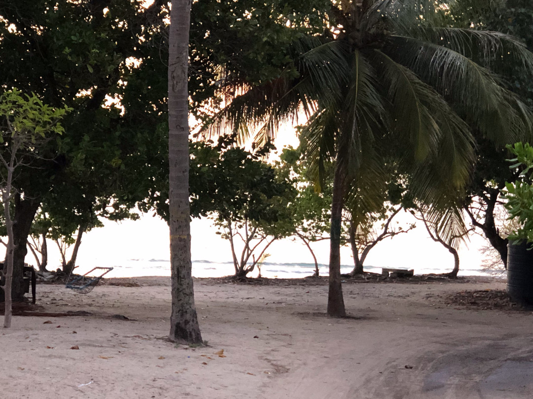 Noovilu Suites Guesthouse Maldives主图