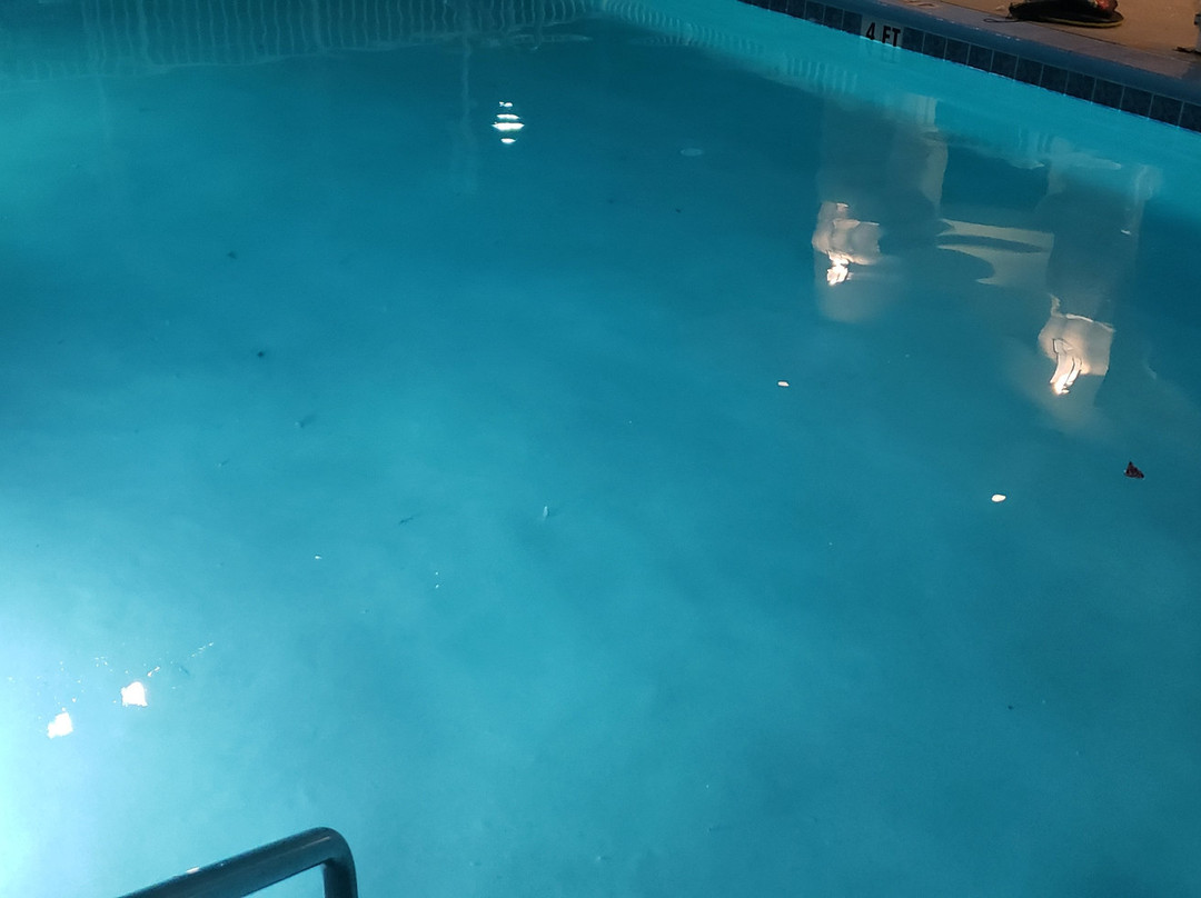 Homewood Suites By Hilton Daytona Beach Speedway-airport主图