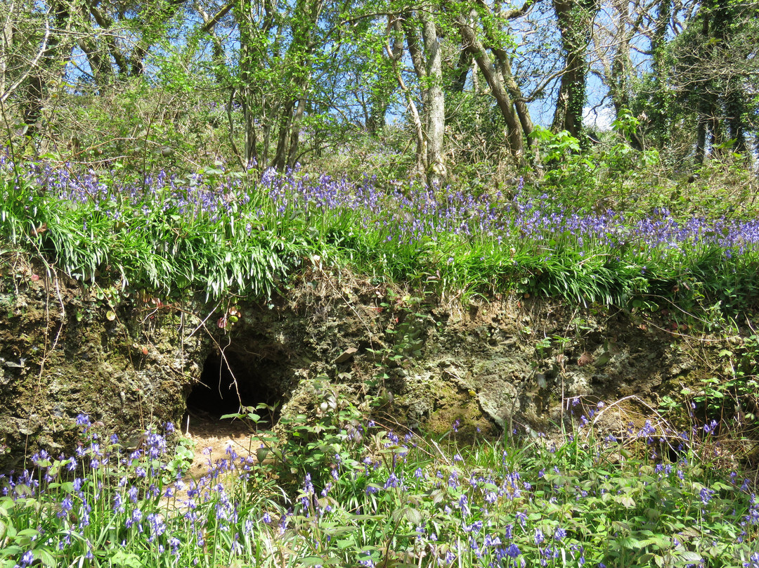 Egloshayle to Dinham Bridge-Wadebridge必去景点