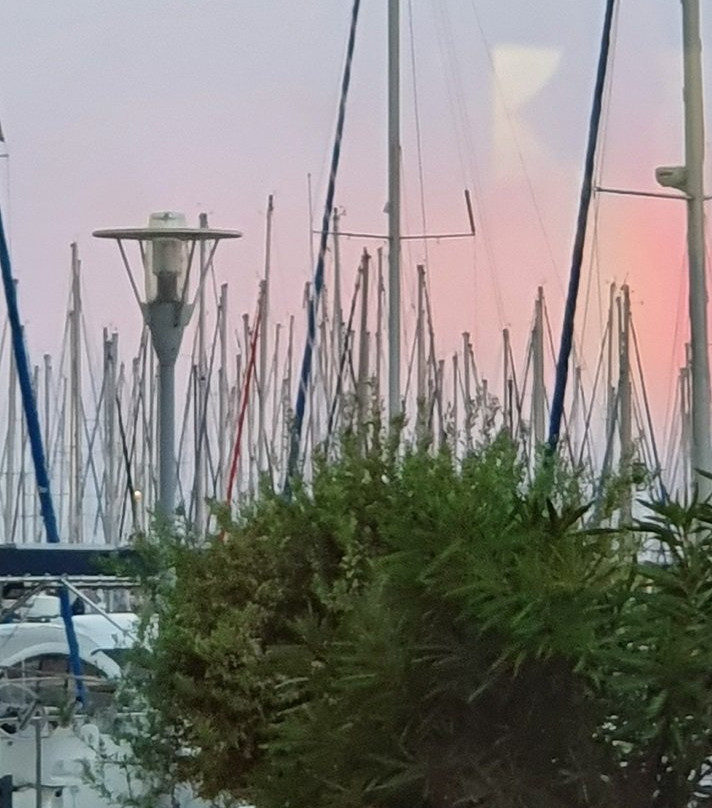 Port de Palavas-les-Flots-帕拉瓦莱弗洛必去景点