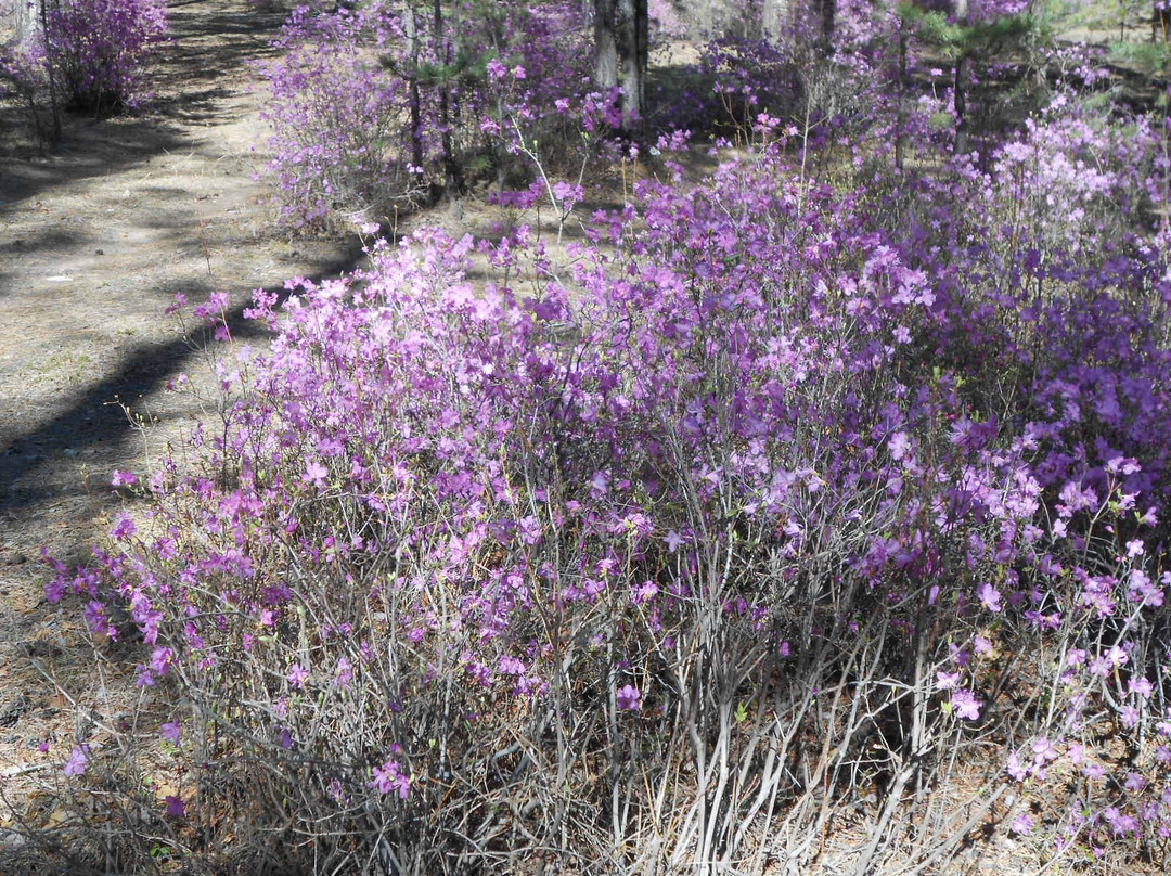 Memory Park-赤塔必去景点