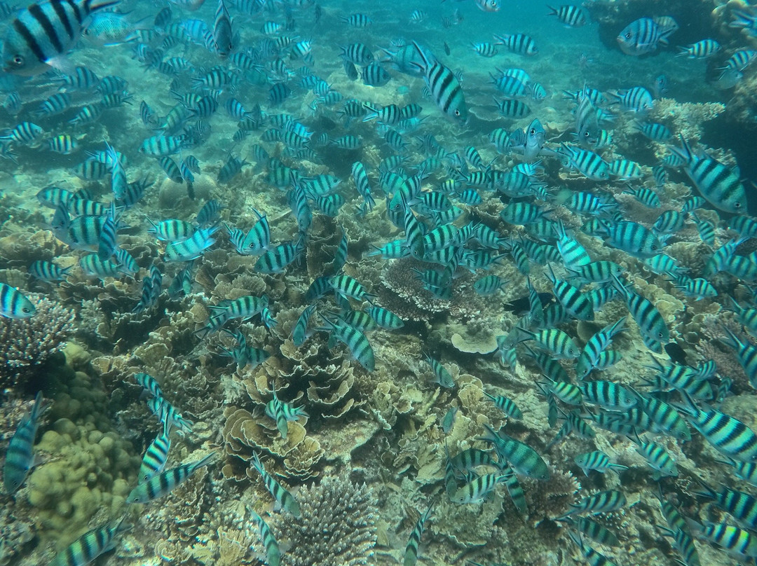 Lengkuas Beach景点图片