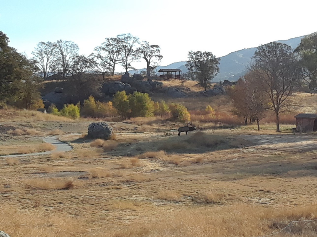 Stallion Springs Resort主图