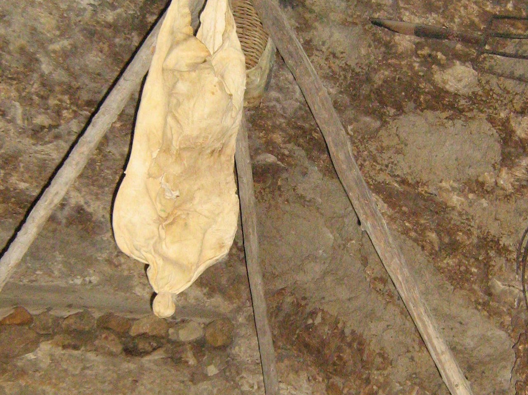 泰尔阿拉德-贝尔谢巴必去景点